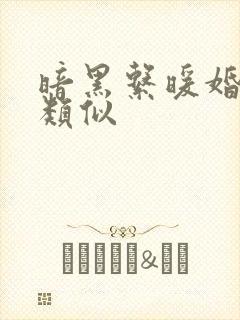 暗黑系暖婚小说类似