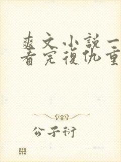 爽文小说一口气看完复仇重生