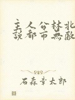 主人公林北的小说都市无敌战神