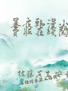 暴夜韩漫小说免费版在线阅读全文