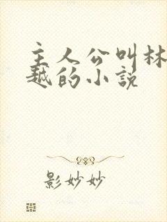 主人公叫林枫穿越的小说