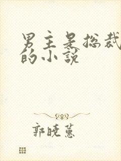 男主是总裁姓沈的小说