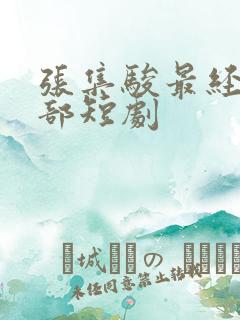 张集骏最经典十部短剧