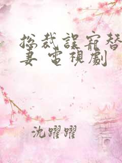 总裁误宠替身甜妻 电视剧