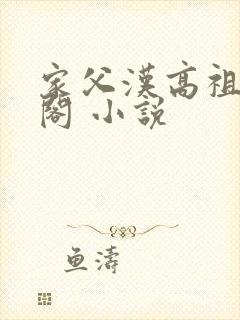 家父汉高祖笔趣阁 小说