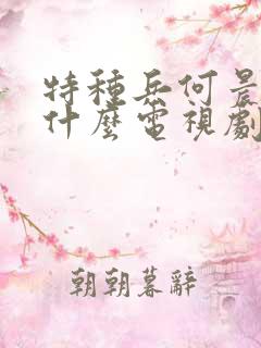 特种兵何晨光是什么电视剧