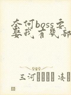 奈何boss要娶我有几部