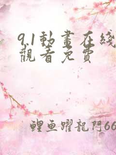9.1动画在线观看免费