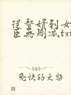 从赘婿到女帝宠臣无删减txt