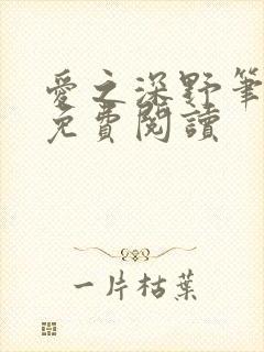 爱之深野笔趣阁免费阅读