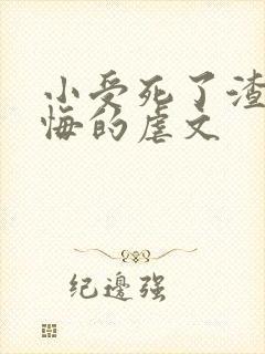 小受死了渣攻后悔的虐文