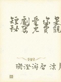 短剧爱你是我的秘密免费观看