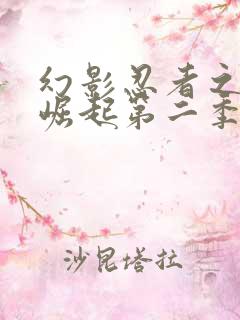 幻影忍者之神龙崛起第二季免费观看