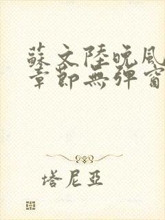 苏文陆晚风最新章节无弹窗笔趣阁