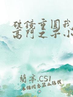 破镜重圆我爱上高门之子小说免费