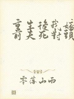 重生后我嫁给了前夫死对头小说