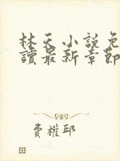 林天小说免费阅读最新章节