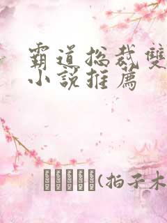 霸道总裁双男主小说推荐