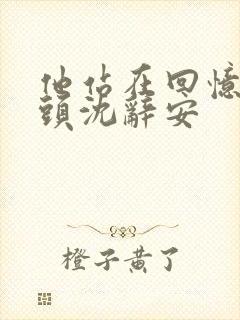 他站在回忆的尽头沈辞安