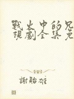 战火中的兄弟电视剧全集免费