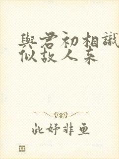 与君初相识 恰似故人来