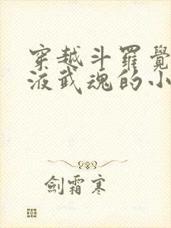 穿越斗罗觉醒血液武魂的小说