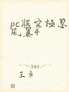 pc版究极忍者风暴4