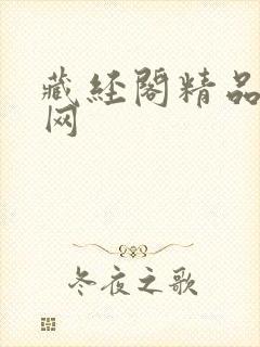 藏经阁精品小说网