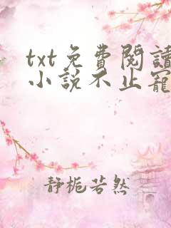 txt免费阅读小说不止宠爱