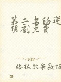 第二名的逆袭电视剧免费