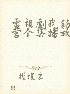 电视剧我的特一营全集播放