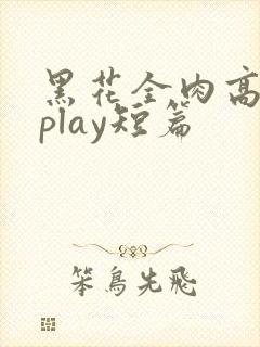 黑花全肉高h湿play短篇