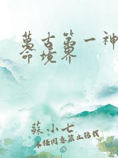 万古第一神李天命境界