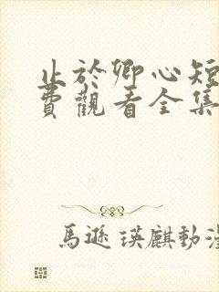 止于卿心短剧免费观看全集高清版