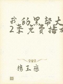 我的黑帮大佬第2季免费播放美剧