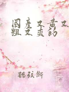 国产又黄又猛又粗又爽的