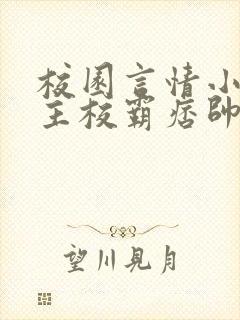 校园言情小说男主校霸痞帅