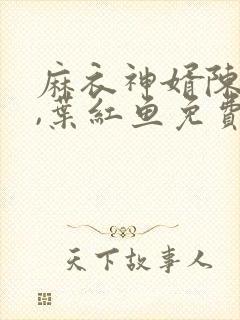 麻衣神婿陈黄皮,叶红鱼免费阅读十六章