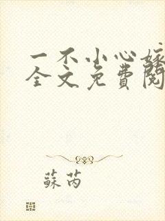 一不小心嫁总裁全文免费阅读