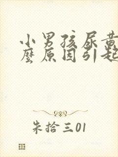 小男孩尿黄是什么原因引起的