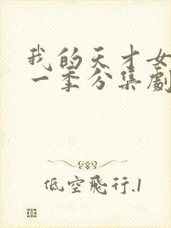 我的天才女友第一季分集剧情介绍