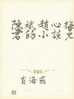 陈斌赵心梅高婉君的小说免费阅读