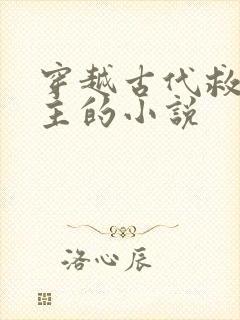 穿越古代救赎男主的小说