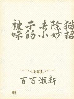 被子去除猫尿骚味的小妙招