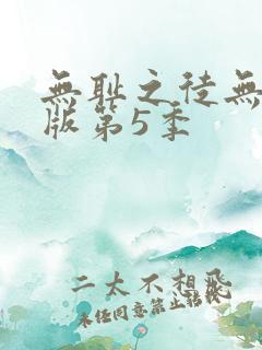 无耻之徒无删减版第5季