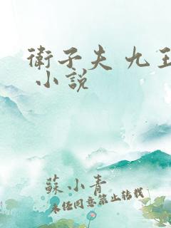卫子夫 九王爷 小说