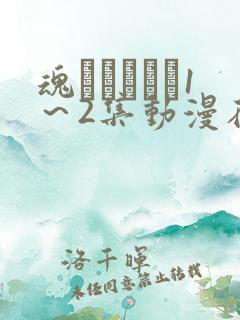 魂インサート1～2集动漫在线观看