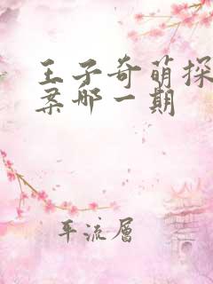 王子奇萌探探探案哪一期