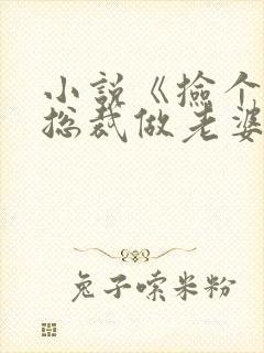 小说《捡个美女总裁做老婆》