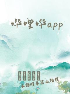 哔哩哔app